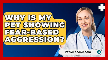 Why Is My Pet Showing Fear-based Aggression? - PetGuide360.com