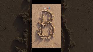 B letter is wonderful and super cute status of your lovely 🌹 comment your first letter #love #reels