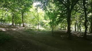 Belgrad Ormanı Muhteşem Doğa Manzarası