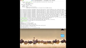 Setting up SSH with Fail2Ban on Linux