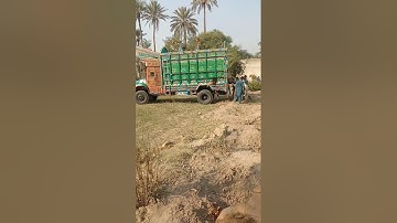 Dropping،oak next to،house،#arborist #chainsaw #tree #logging #stihl