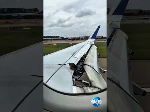 Khatam Tata Bye Bye #flight #trending #viral