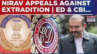 PNB Scam Accused Nirav Modi Moves UK Court Again, Seeks Stay On Extradition; ED & CBI Teams...