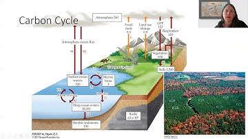 25.2 Global Ecology Part 2