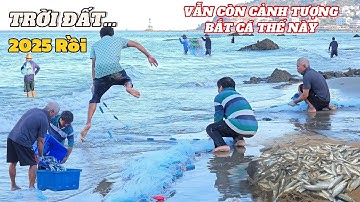 Gòi Xong - Biển Người Dân Vũng Tàu Đổ Ra Biển Để Kéo Lưới Cá