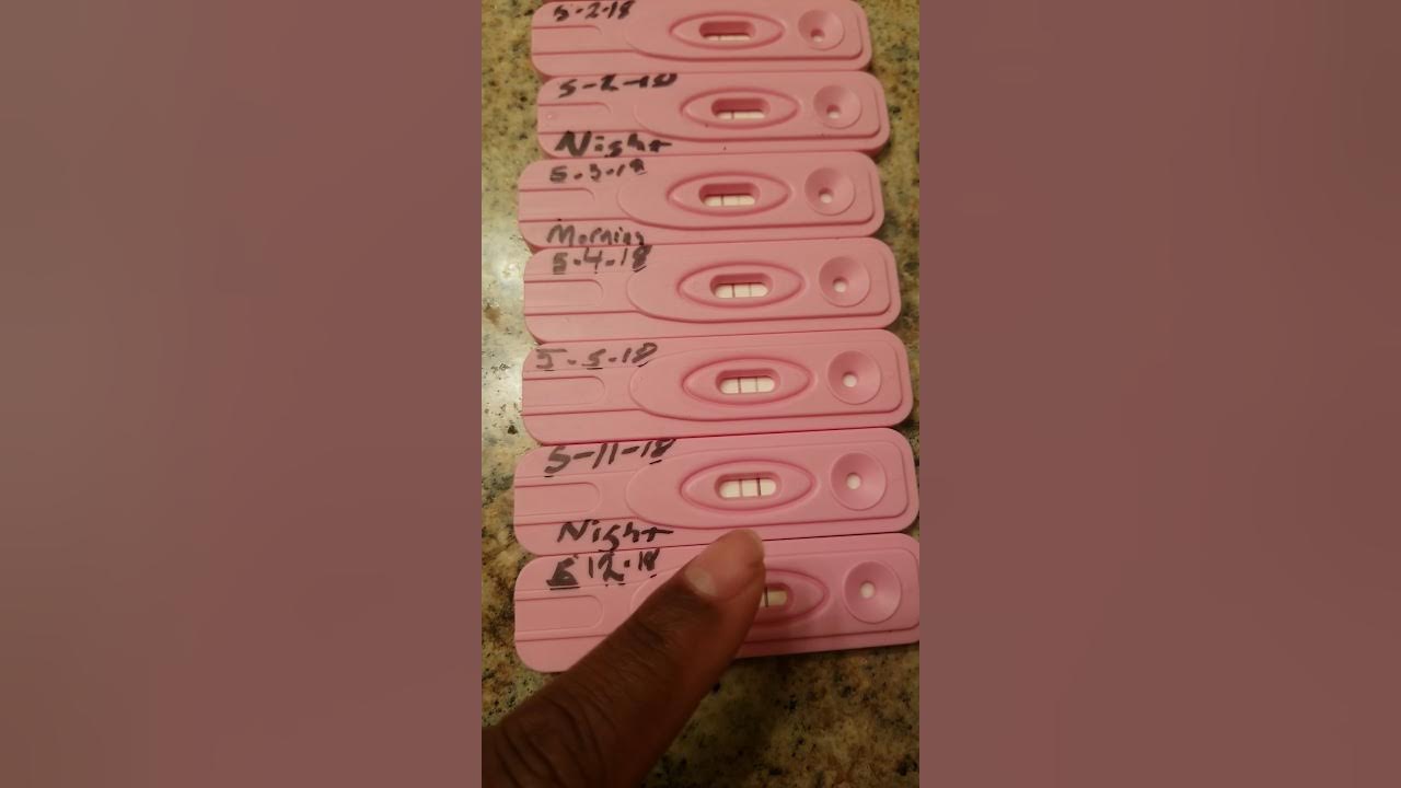 Dollar tree assure pregnancy test line progression HCG from 3 weeks