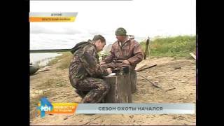 Сроки охоты на разных животных обнародовали в регионе Сроки охоты на разных животных обнародовали в регионе