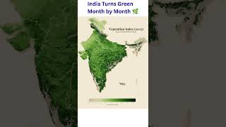 vegetation index (2023)