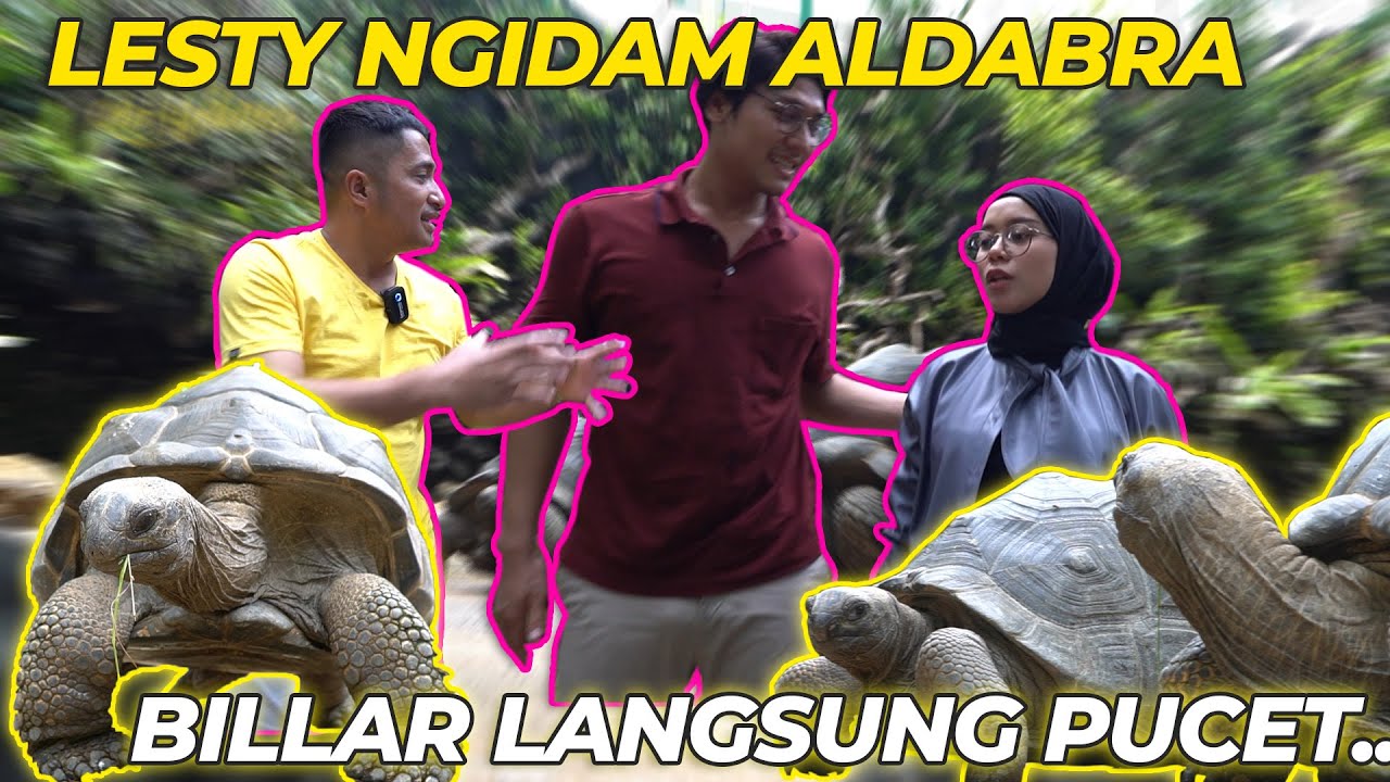 LESLAR PENASARAN DENGAN KURA-KURA DEHAKIMS.. BARU LIAT LANGSUNG PENGEN BELI!!