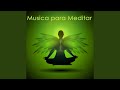 Musica para meditar