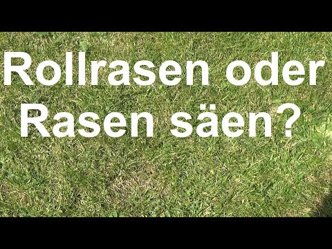 Video: Rasen Säen: Gerät, Vor- Und Nachteile. Ist Es Besser Als Rollrasen Und Welchen Rasen Soll Man Für Ein Privathaus Wählen? Verlegetechnik