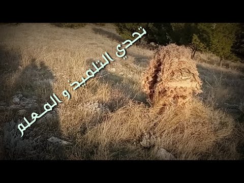 فيديو: المنحوتات الإلكترونية لستيفن رودريغ