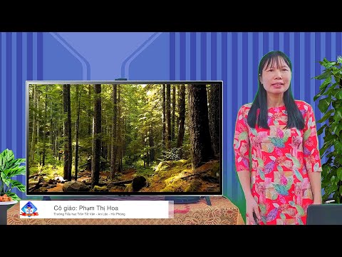 Bài giảng trực tuyến môn Tự nhiên xã hội lớp 2