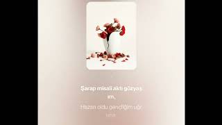 Aşk - I Köle