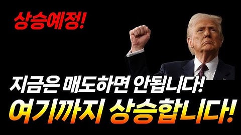 지금은 매도하면 안됩니다.(엔비디아, SOXL, 나비타스, AMD, 테슬라, 메타, CONL, 아이온큐, 리게티, 디웨이브, 실스크, 팔란티어, 아이렌, 사이퍼 마이닝, 업스타트)