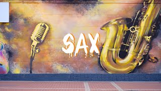 SAX - Saxophone Boom Bap Beat Hip Hop Instrumental (Prod. HaamuDani)