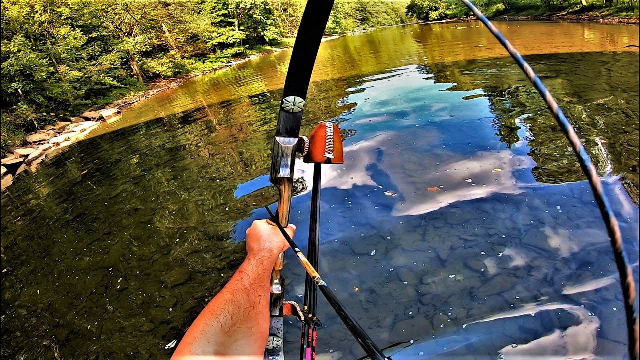 BOWFISHING With A RECURVE Bow 2019 - AMAZING Instinctive Archery Shots -  Bob Lee Bows 