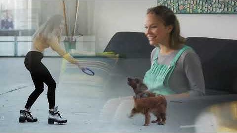 Cool dog tricks to teach your dog - top 10 coolest tricks to teach your dog