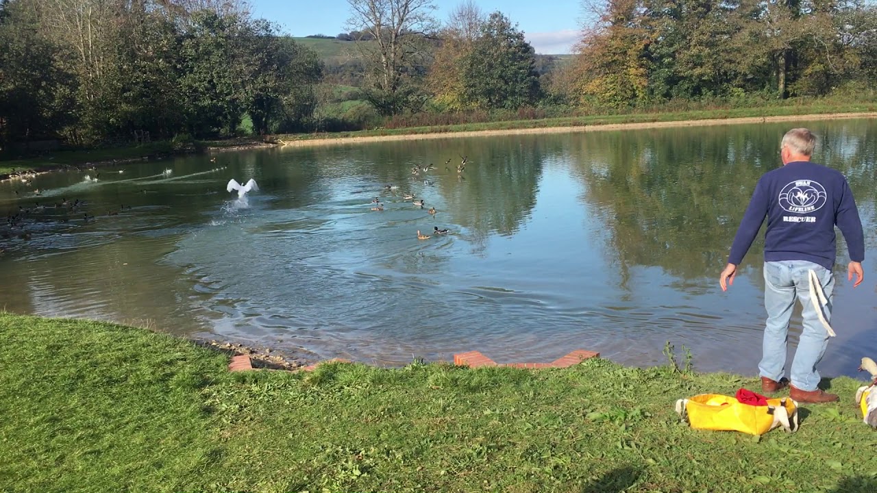 Weald & Downland Living Museum, West Sussex