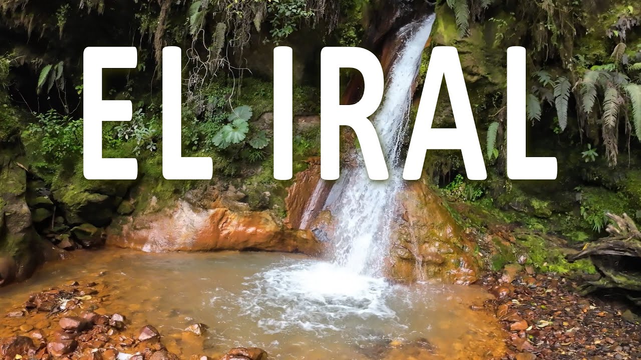 EL IRAL Bosque nuboso en Cascajal de Coronado Costa Rica. YouTube