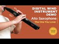 The One You Love - Alto Saxophone Effect with Greaten Electronic Wind Instrument Mp3 Song