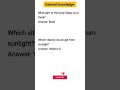 Gk questions| dailygk | questions and answers #dailygk #didyouknow #gkfacts