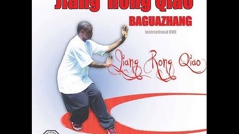 "Instructional Jiang Rong Qiao Ba Gua Zhang 8 palm change MPG video download"