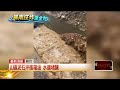 豪雨灌新竹　芎林鄉農地毀、東海里農舍損失慘