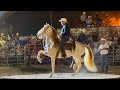 🐴 Caballo Español AZAHAR 🏆 campeón en LA CIENEGA DE CASAL