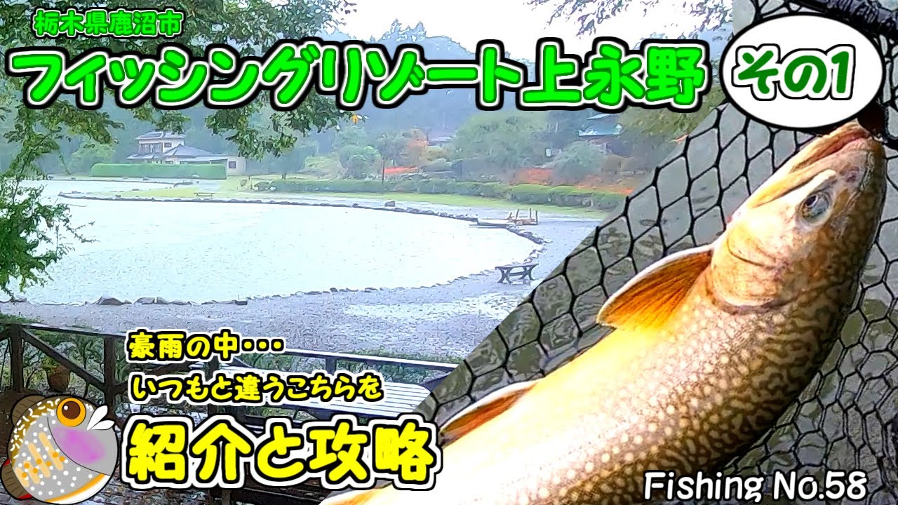 【FR上永野】台風の大雨に打たれつつ紹介と攻略【エリアトラウト】