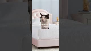 malah di katain😱😱😱#vidiolucu #cat #animasulucu #kucing #viral #memes #shorts