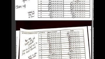 Systematic Observation Example