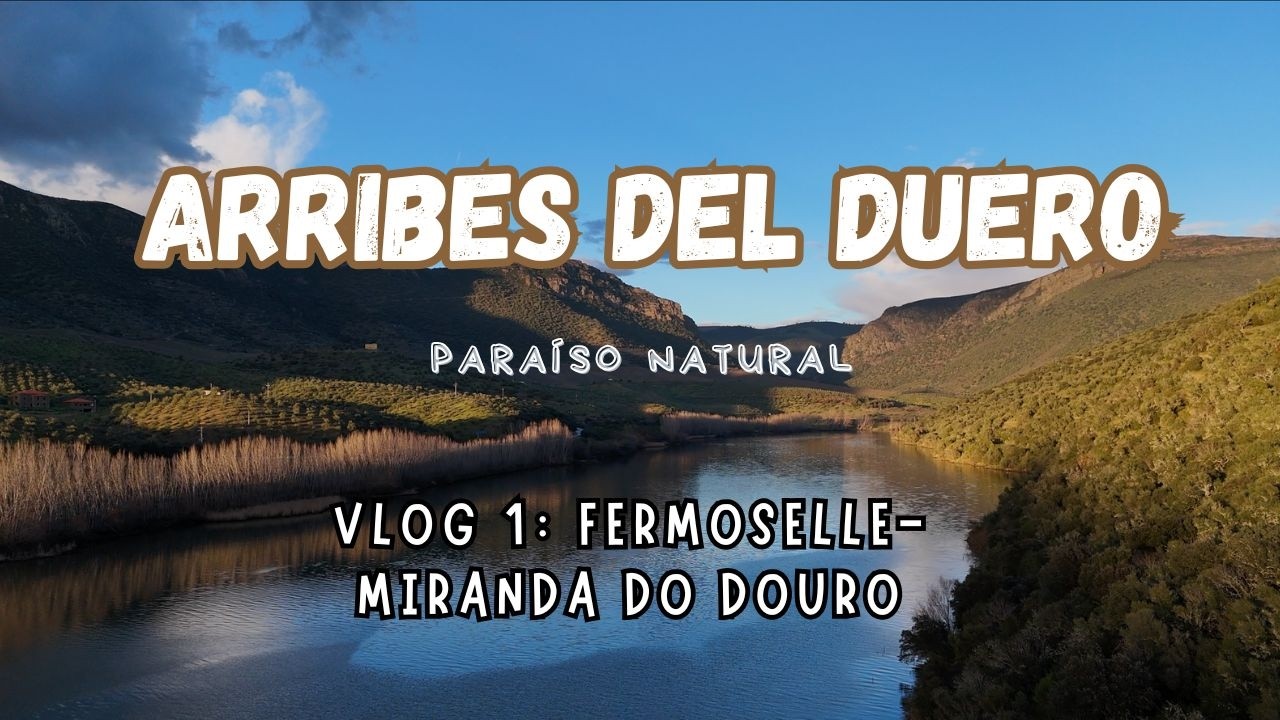 Descubre el encanto de Fermoselle y Miranda do Douro 🌄🚶‍♂️🍴🇪🇸/🇵🇹: Un viaje por el Duero