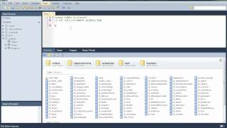 Criando um tradutor Portugues Ingles Espanhol em Delphi e Mysql - Parte 1.mp4 screenshot 2