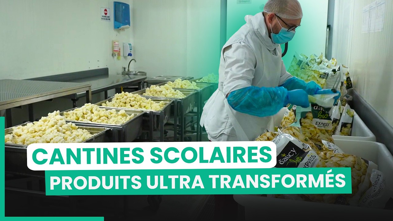 Coulisses : Que mangent vraiment nos enfants ? | 750GTV