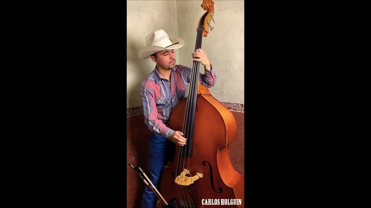 Moneda Sin Valor - Carlos Holguin (Tololoche Cover)