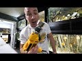 DRILLING HOLES INTO FILLED AQUARIUMS DRILLING HOLES INTO FILLED AQUARIUMS