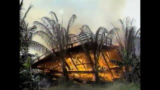 Mount Kilauea Eruption Of 1983