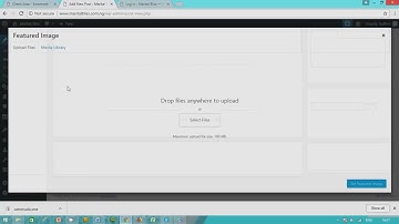 How To Publish Articles On Your Blog Site