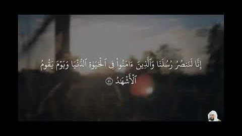 {إنا لننصر رسلنا والذين آمنوا والذين آمنوا في الحياة الدنيا ويوم يقوم الأشهَد} تلاوة هادئة مبكية