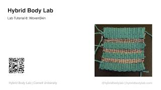 Hybrid Body Lab Tutorials - Lab 6: WovenSkin