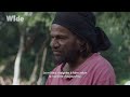 Nouvelle Calédonie : la sagesse du peuple Kanak I WIDE Mp3 Song