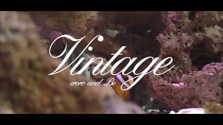 Be & croro-Vintage (Official Video)