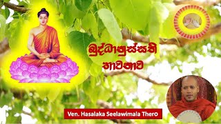 1. බුද්ධානුස්සති භාවනාව - Ven. Hasalaka Seelawimala Thero.