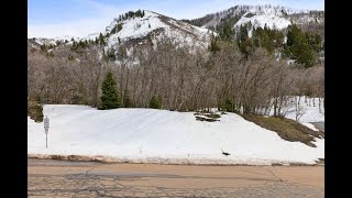 185 East Deep Forest Circle video tour