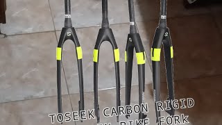 Chinese Carbon Rigid Fork Toseek