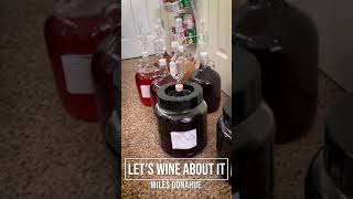 Learn to make wine from home! #Shorts