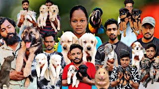 Broadway Pets Market Sunday 2024 | Chennai Pets Market | Sunday Offer Price for Pets