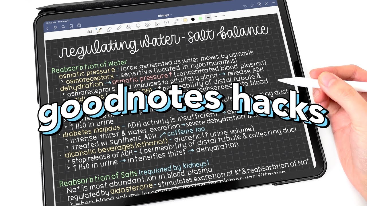 Erasing handwriting and highlighting – Goodnotes Support