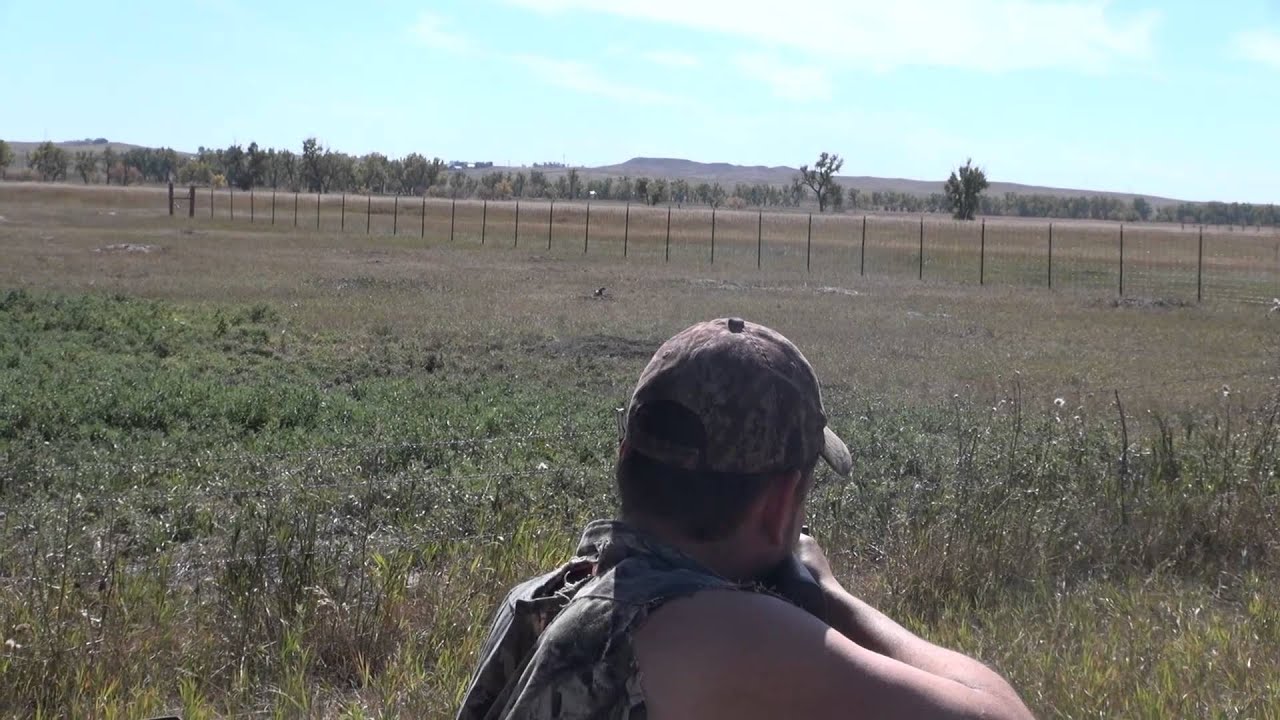 Wyoming Prairie Dog Shooting YouTube